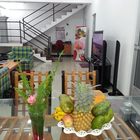 הפוטאלה Olive Hill Top Hotel מראה חיצוני תמונה