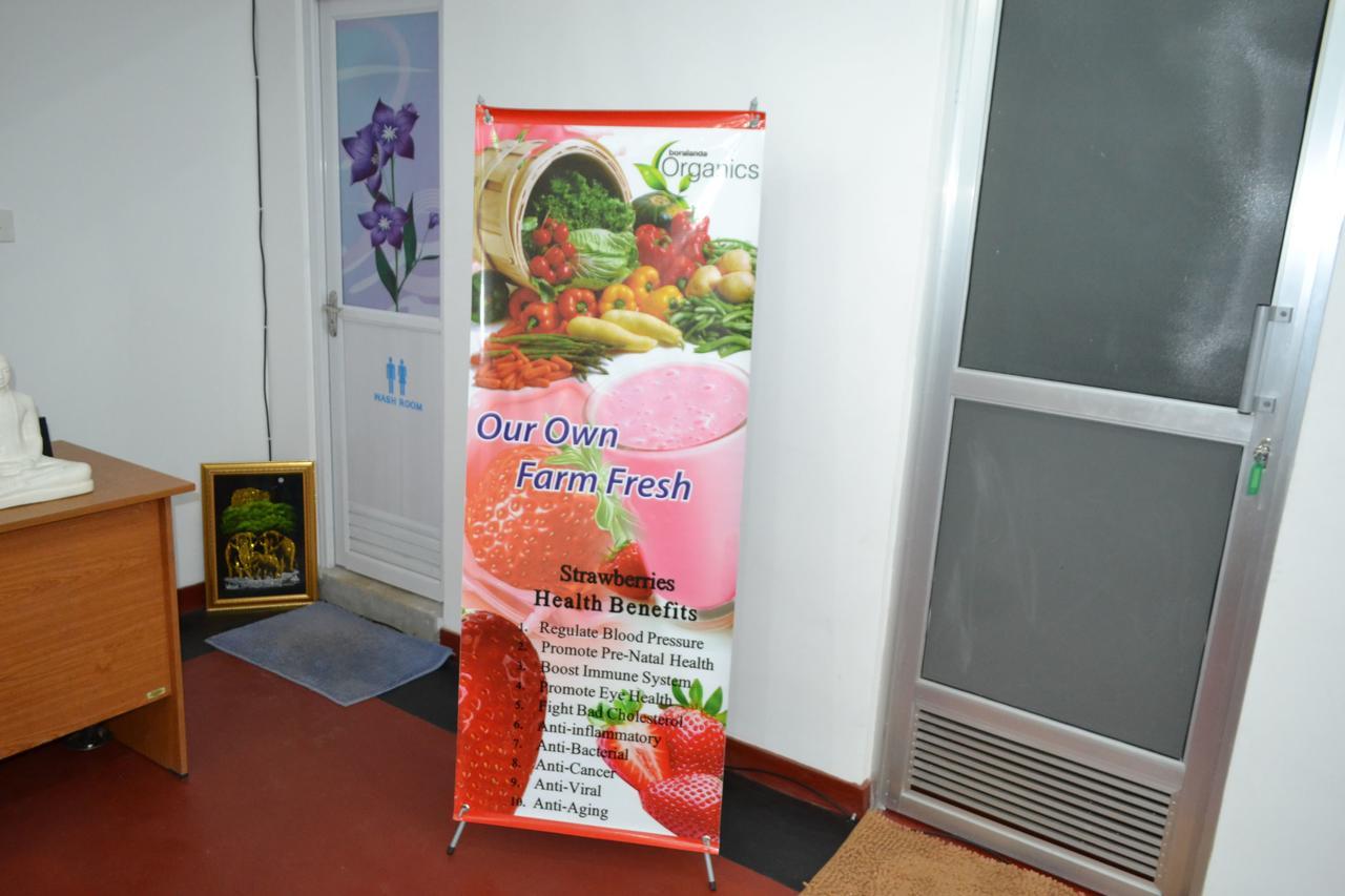 הפוטאלה Olive Hill Top Hotel מראה חיצוני תמונה